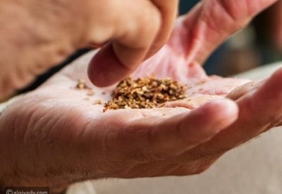 تراجع كبير في معدلات التدخين على مستوى العالم