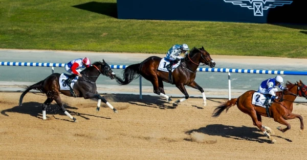 بانشنغ السعودي يفوز بلقب جودلفين مايل في كأس دبي العالمي 2026