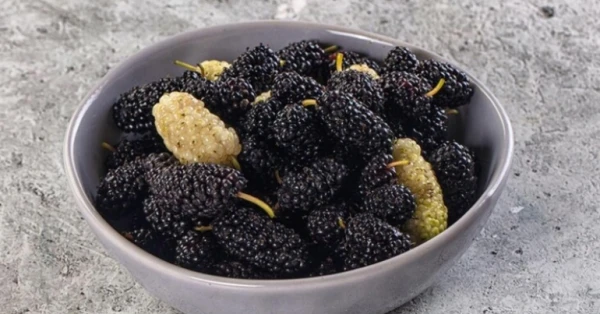 دراسة: التوت قد يقلل مخاطر السمنة وتصلب الشرايين