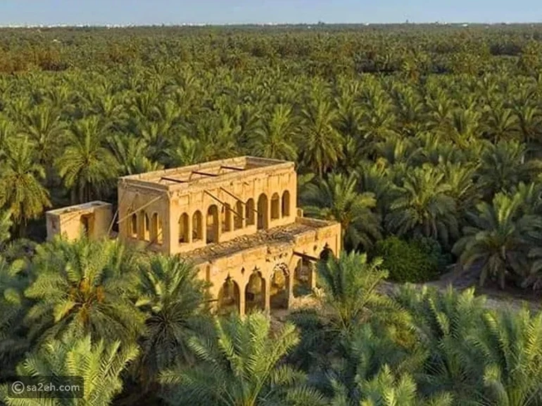 الأحساء وواحتها الخضراء: درة الصحراء النادرة