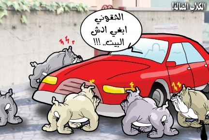 كاريكاتير