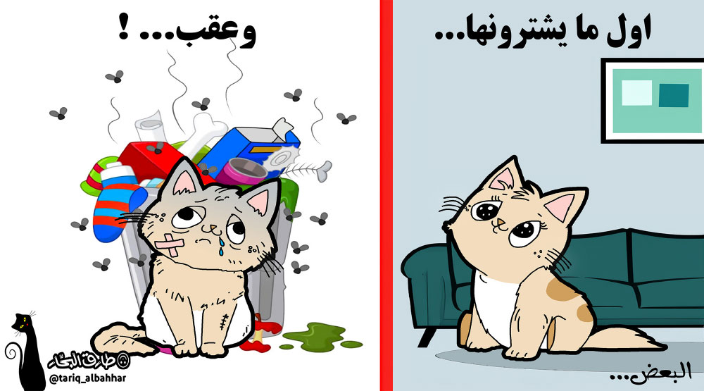 كاريكاتير
