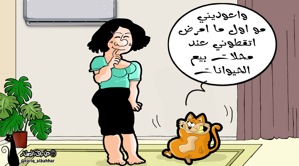 كاريكاتير