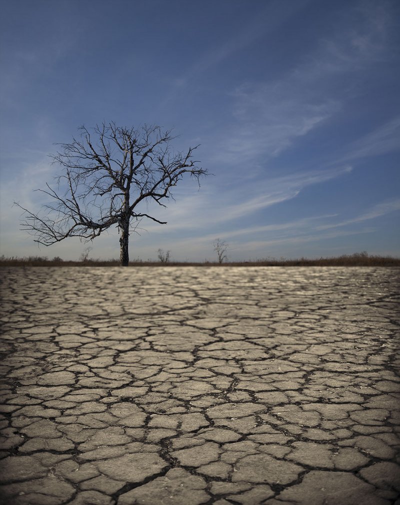 منظمة إغاثة: جائحة كورونا زادت من صعوبة التعامل مع الكوارث المناخية