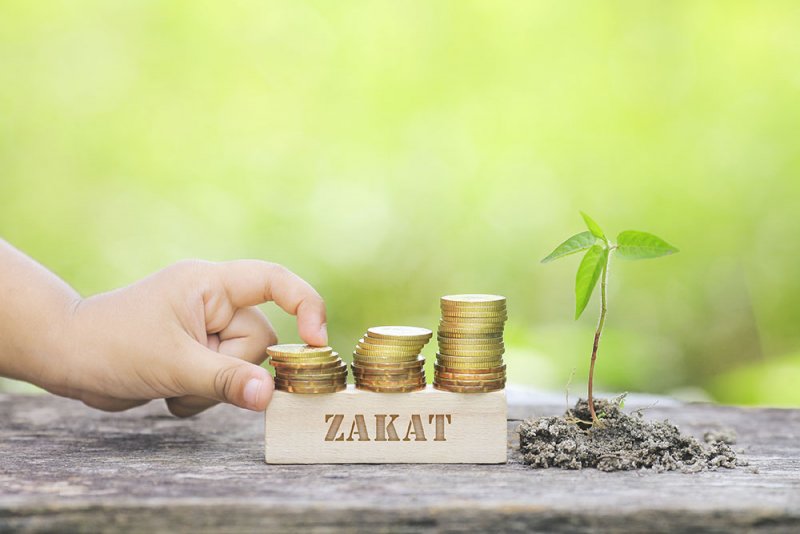 "تشريعية النواب" ترفض اقتراح بقانون زكاة الشركات