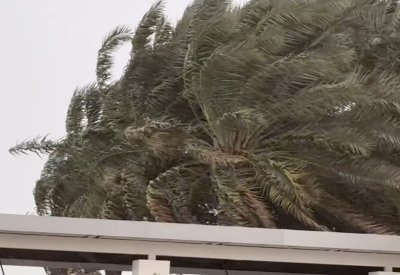 إدارة الأرصاد الجوية: تأثر البلاد بموسم رياح "البارح" التي تستمر لعدة أيام