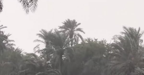 الأرصاد : رياح قوية السرعة تستمر حتى مساء السبت #صحيفة_البلاد 