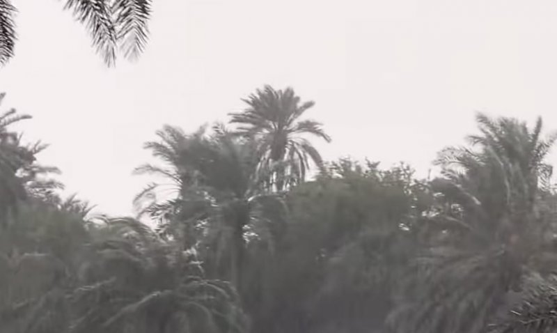 “الأرصاد”: رياح قوية السرعة تستمر حتى مساء السبت