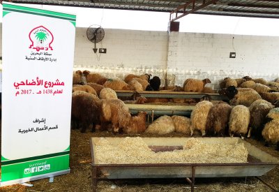 الأوقاف السنية تنفذ مشروعي الأضاحي وكسوة العيد
