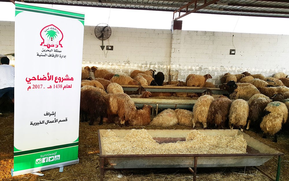 الأوقاف السنية تنفذ مشروعي الأضاحي وكسوة العيد