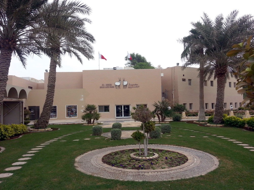 أول سيارة باستخدام الطاقة الشمسية في محمية العرين