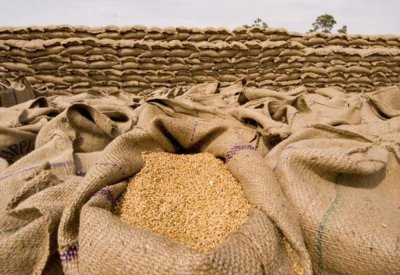 مصر تطرح مناقصة لشراء قمح للشحن في فبراير