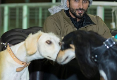 ناصر بن حمد يوجه بتنظيم شوط شوامه في مسابقة سموه للصقور والصيد