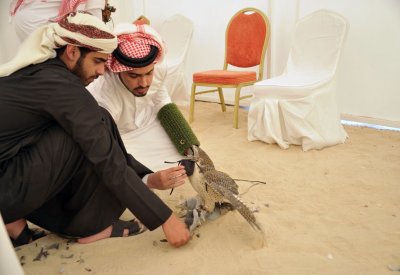 ناصر بن حمد: شوط شوامه للصقور سيحقق العديد من الأهداف