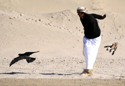 ختام كأس شوامه للصقور بمسابقة ناصر بن حمد للصقور والصيد