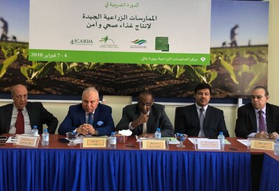الزراعة تنظم دورة تدريبية حول الممارسات الزراعية الجيدة