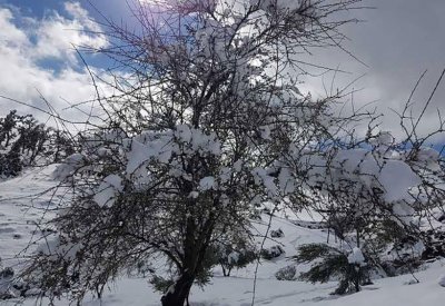 رداءة الطقس تغلق مئات المدارس في المغرب