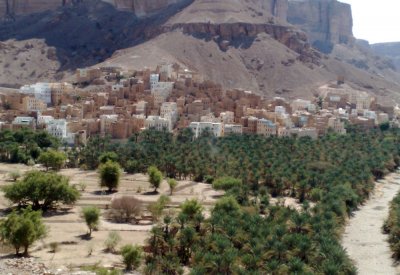 اليمن.. بدء "عملية الفيصل" بدعم إماراتي