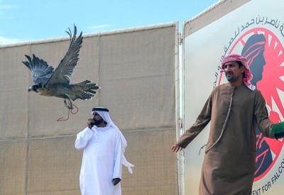 "النخبة" يحصد شوط الشواهين بمسابقة ناصر بن حمد للصقور والصيد