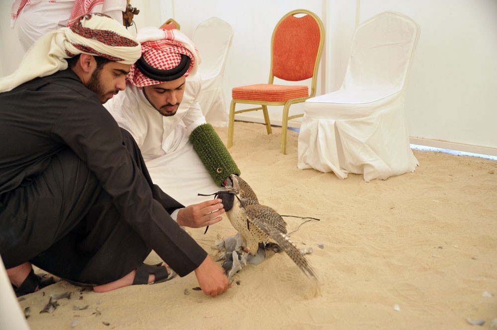 ناصر بن حمد: شوط شوامه للصقور سيحقق العديد من الأهداف