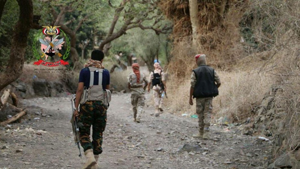 تعز.. مقتل 15 حوثيا بينهم قيادي بارز وتقدم ميداني جديد