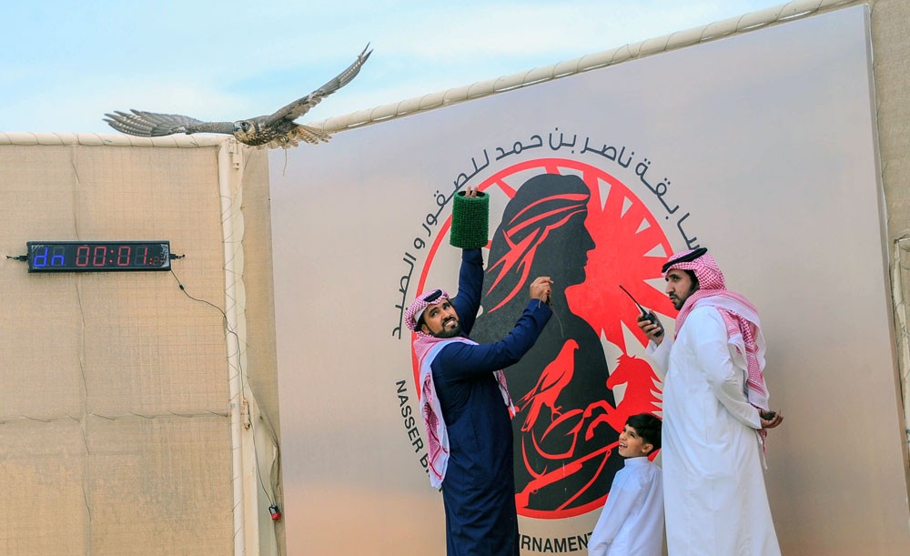 الاماراتيان حمد وخلفان أبطال الحرار والجيرات بمسابقة ناصر بن حمد للصقور والصيد