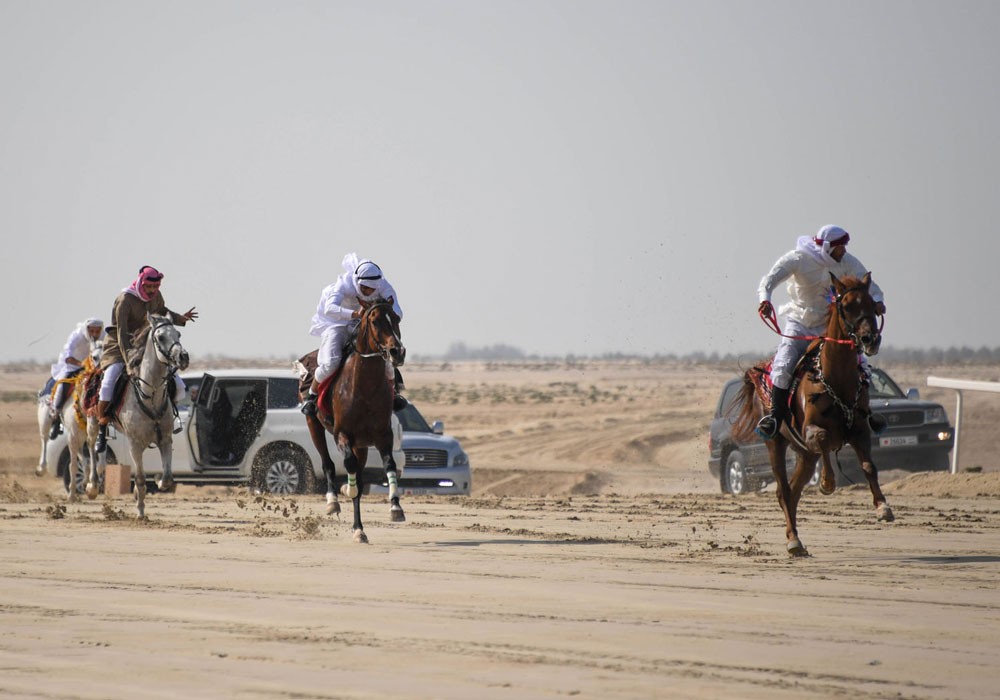 محمد آل طوق يحرز شوط النخبة لسباق الخيل بمسابقة ناصر بن حمد للصقور والصيد