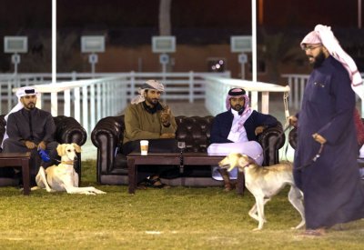 انطلاق المسابقة الدولية لجمال السلوقي العربي برعاية ناصر بن حمد
