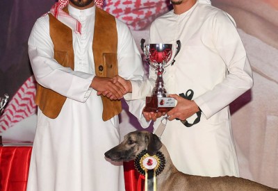 محمد بن سلمان يحضر المسابقة الدولية لجمال السلوقي العربي