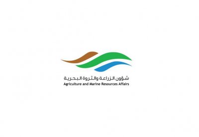 الزراعة : كافة الإرساليات الزراعية خاضعة للرقابة والمنتجات بالأسواق خالية من الملوثات	