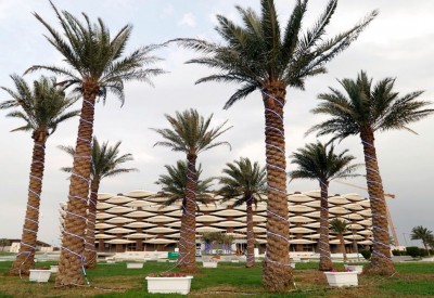 العراق يحتفي بقرار الفيفا المنتظر