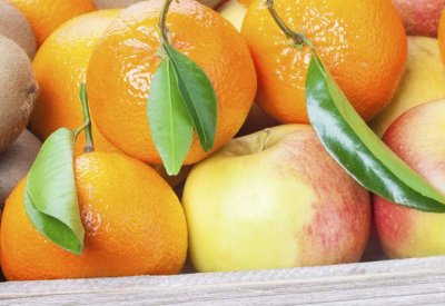 قبل الربيع.. علاجات طبيعية للحساسية