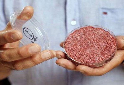 عالم يطرح فكرة مثيرة للجدل حول "أكل لحوم البشر"