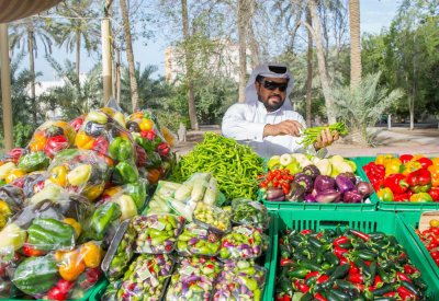 وكيل الزراعة : سوق المزارعين الدائم انطلاقه حقيقية للمنتج الزراعي البحريني