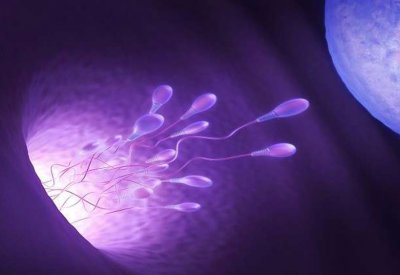 ما علاقة انخفاض الحيوانات المنوية بمتوسط عمر الرجال؟