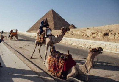 مصر تسجل أدنى مستوى للبطالة منذ 7 سنوات