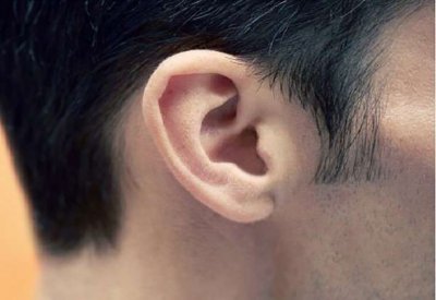 لماذا يسمع البعض "أصوات" الحركة الصامتة؟