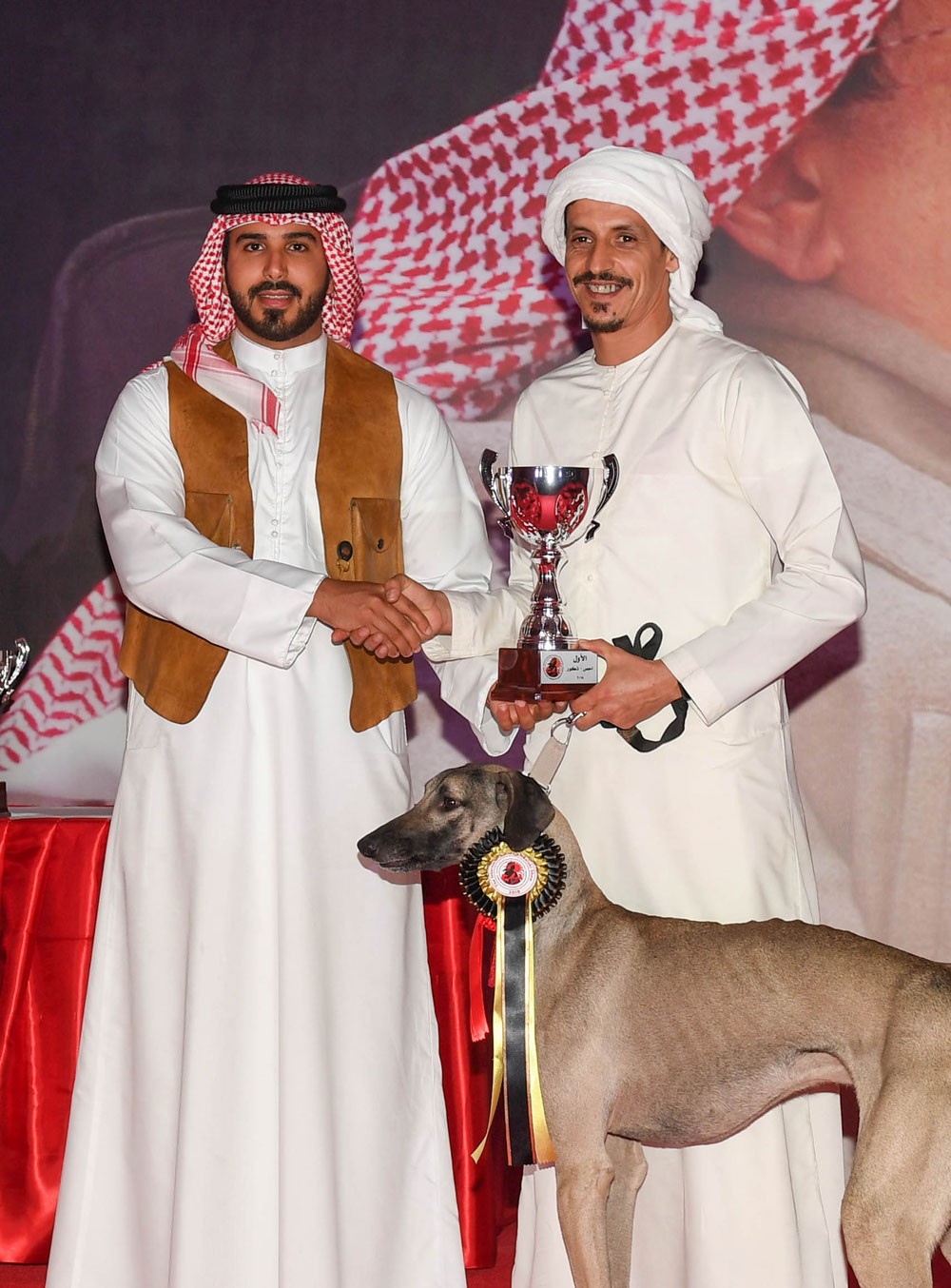 محمد بن سلمان يحضر المسابقة الدولية لجمال السلوقي العربي