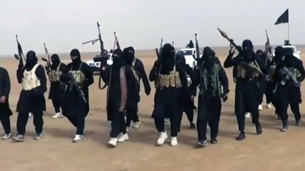 مقتل 300 متطرف فرنسي في سوريا والعراق منذ 2014