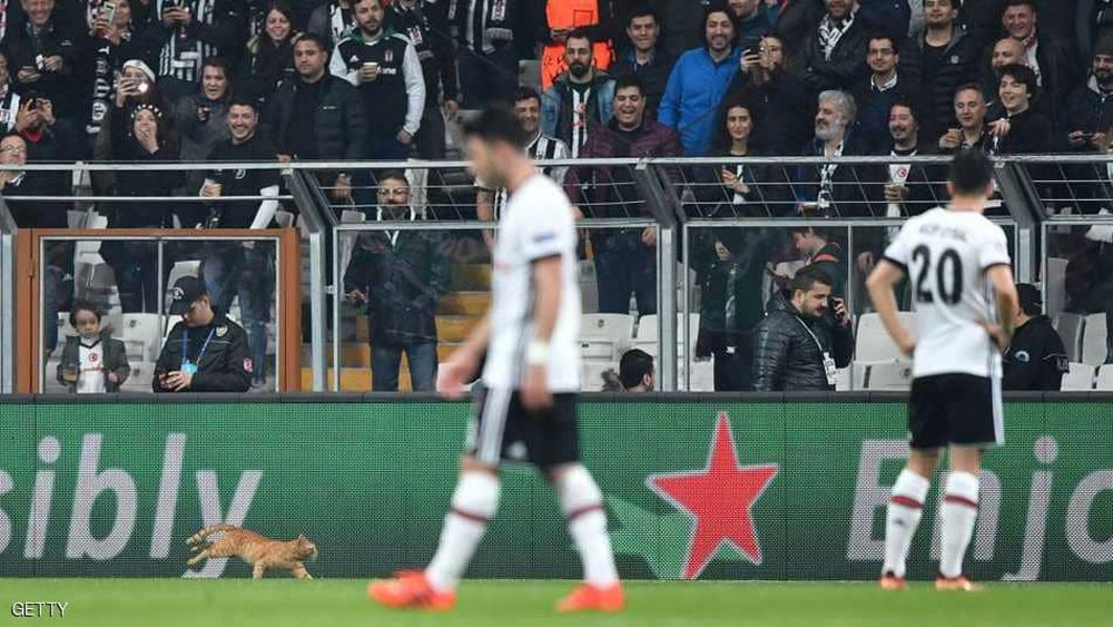 بايرن ميونيخ لربع نهائي الأبطال.. والقط التركي بطل المبارة