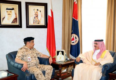وزير الداخلية يشيد بدور الخدمات الطبية الملكية 