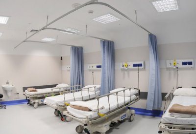 البحرين تنشأ أول مركز للخلايا الجذعية بالمنطقة