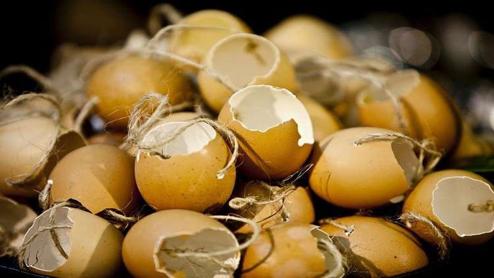 استخدامات غير متوقعة لقشور البيض