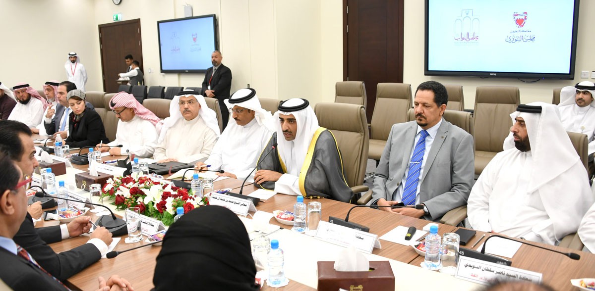 "الشورى والنواب" يؤكدان تسخير الجهود التشريعية لدعم "العليا للثروات"