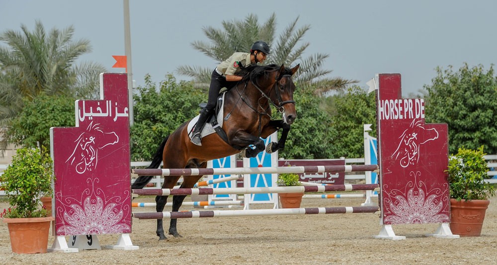 7 مسابقات في آخر جولات تحدي عز الخيل لقفز الحواجز غدا