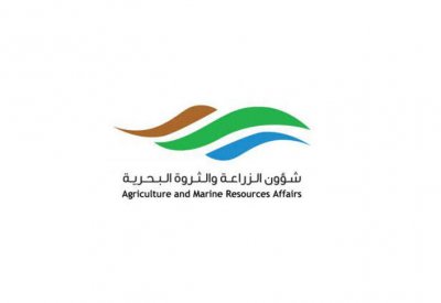 الزراعة : تضبط شحنة لحوم فاسدة وتآمر بإتلافها داخل مدفن عسكر