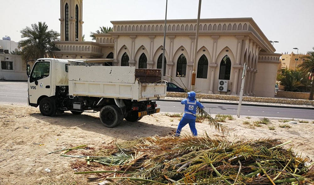 بلدية الشمالية تستأنف مشروع «بذرة خير» في "الجسرة" و "الهملة" 