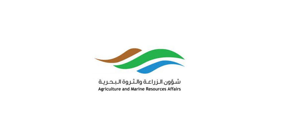 الزراعة : تضبط شحنة لحوم فاسدة وتآمر بإتلافها داخل مدفن عسكر