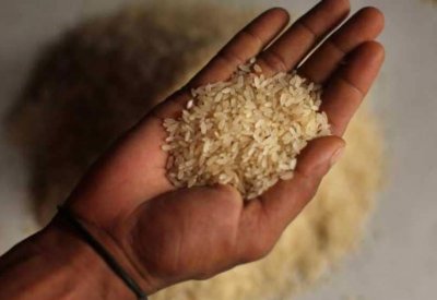 خبراء يحذرون من أخطاء خطيرة في طهي الأرز وحفظه