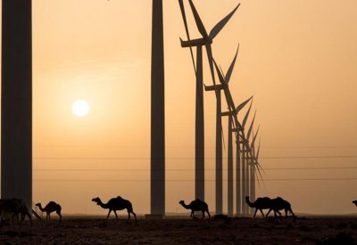 السعودية تقيّم عروض مشروع لطاقة الرياح بنصف مليار دولار
